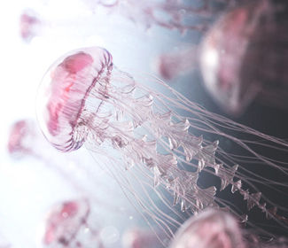 低空無人機測繪：高效、精確、廣泛應用的新興技術